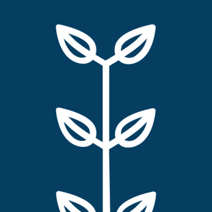 Icon of a growing plant