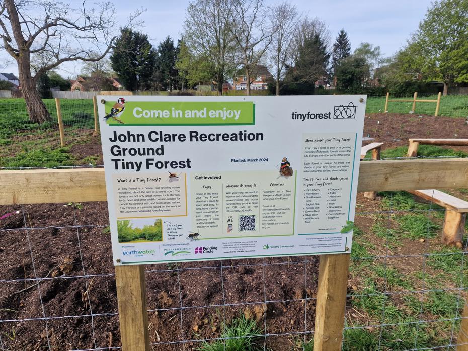 Photo of info board at the John Clare Recreation Ground Tiny Forest