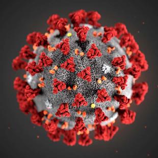 Coronavirus particle close up