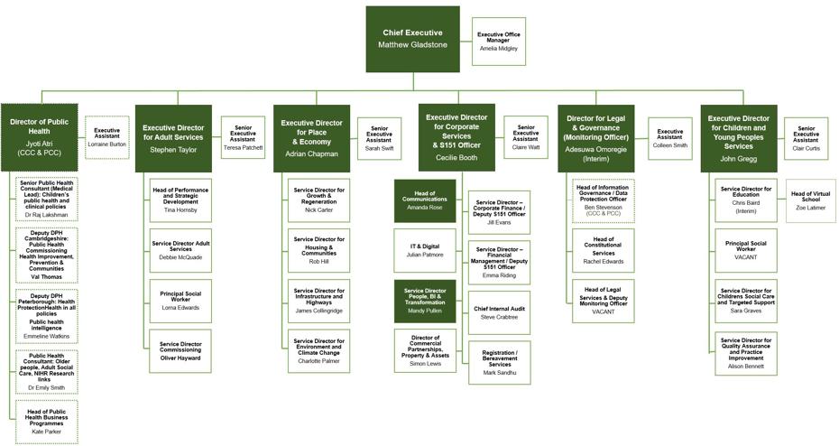 Council structure chart