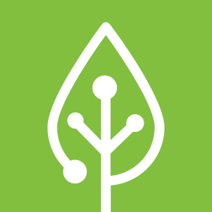 Icon of a leaf