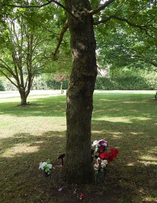 Single communal tree with flowers placed around base